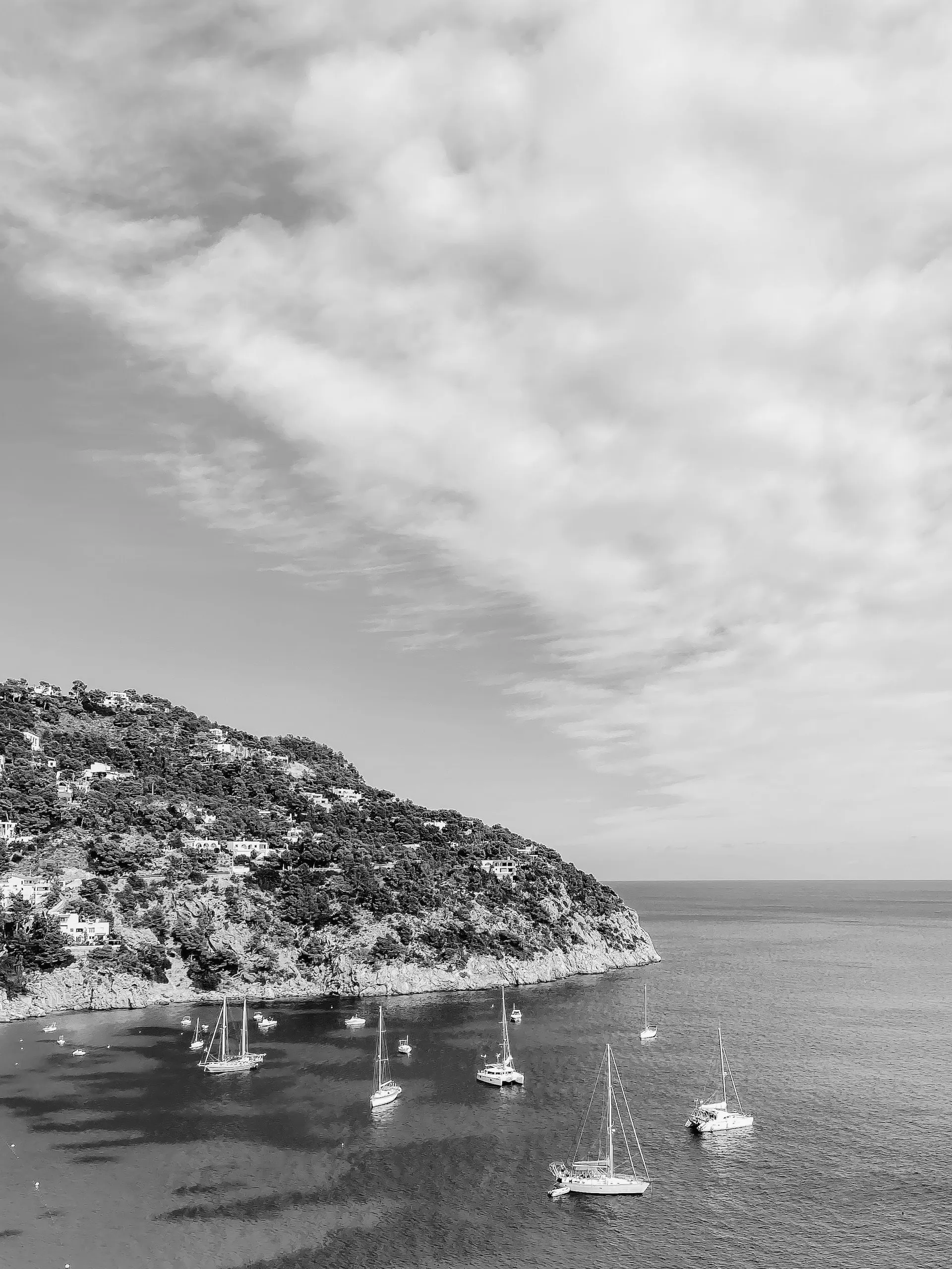 The Best Tattoo Studios in Playa d'en Bossa vs. San Antonio: Which Area Is Right for You?